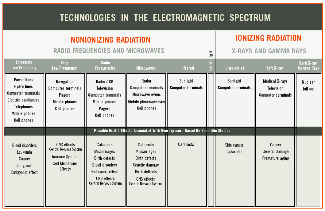 Image result for effects of electromagnetic radiation on the body diagram