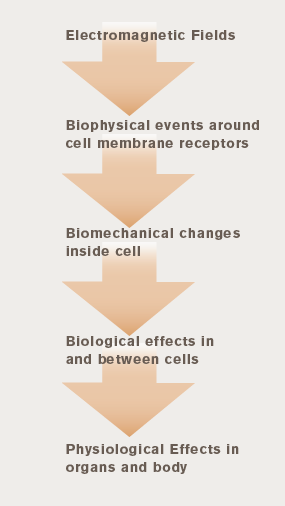 EMF Health Effects