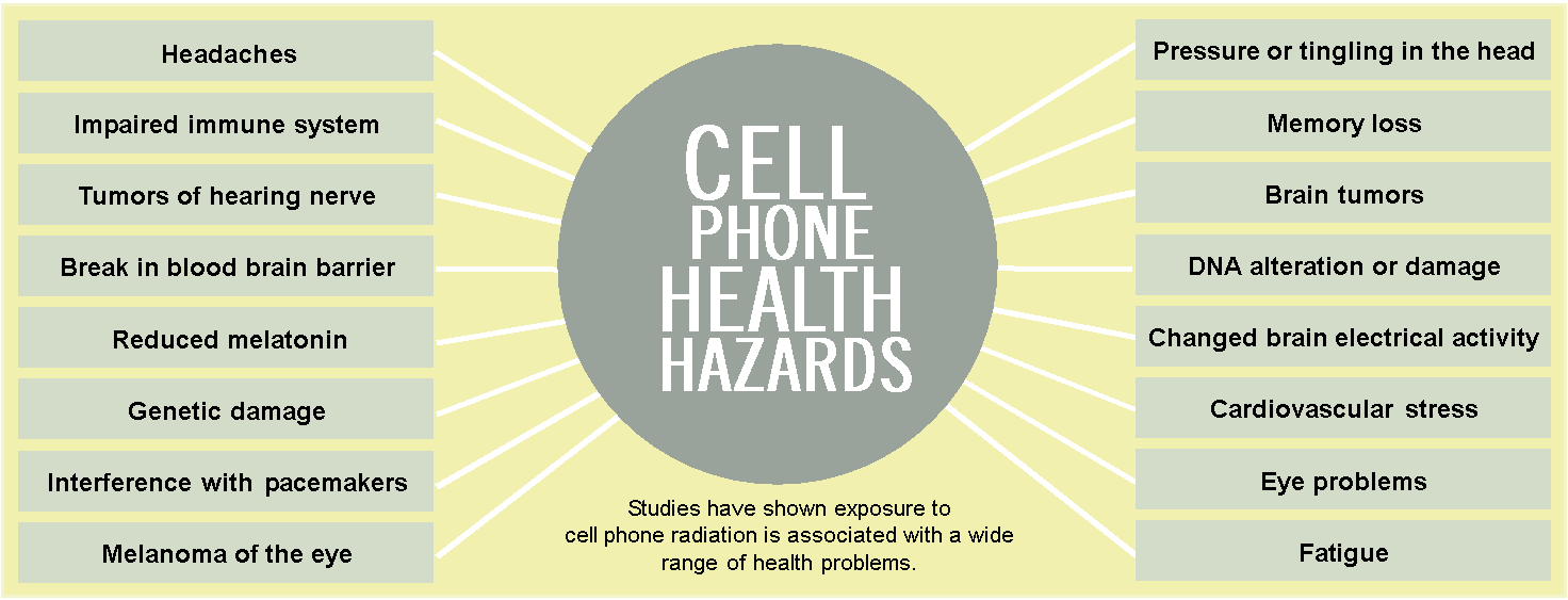 Do Cell Phones Pose a Health Hazard?