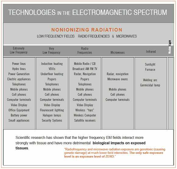 Emf Chart