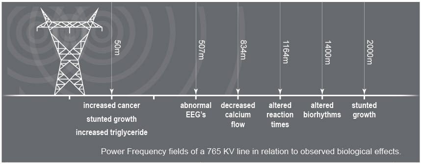 Unrivaled Guide: What is Faraday Fabric or RF Blocking Material